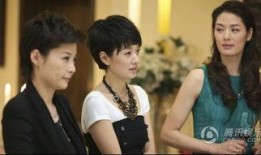 电视剧婚姻保卫战在线观看,在线观看，揭秘现代婚姻的挑战与坚守