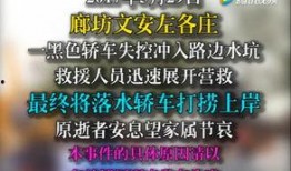 文安网友爆料新闻视频,最新新闻视频引发热议